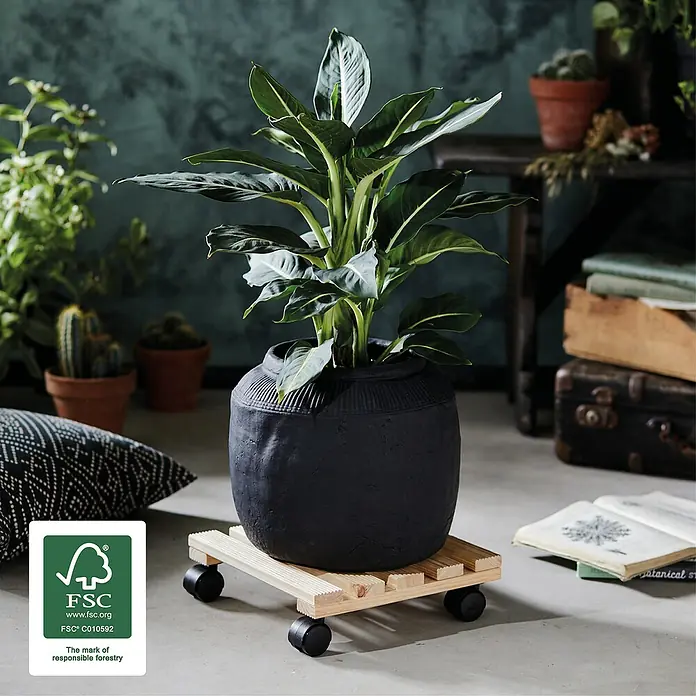 Gardol Soporte con ruedas para plantas Andaluz - 29 x 29 cm, Natural, Carga máx.: 100 kg - Foto ambiente