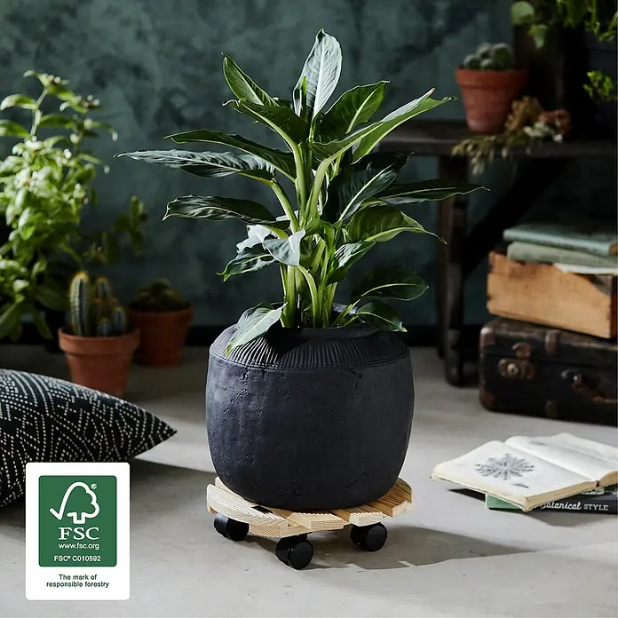 Gardol Soporte con ruedas para plantas Andaluz - Natural, Redonda, Carga máx.: 100 kg - Foto ambiente