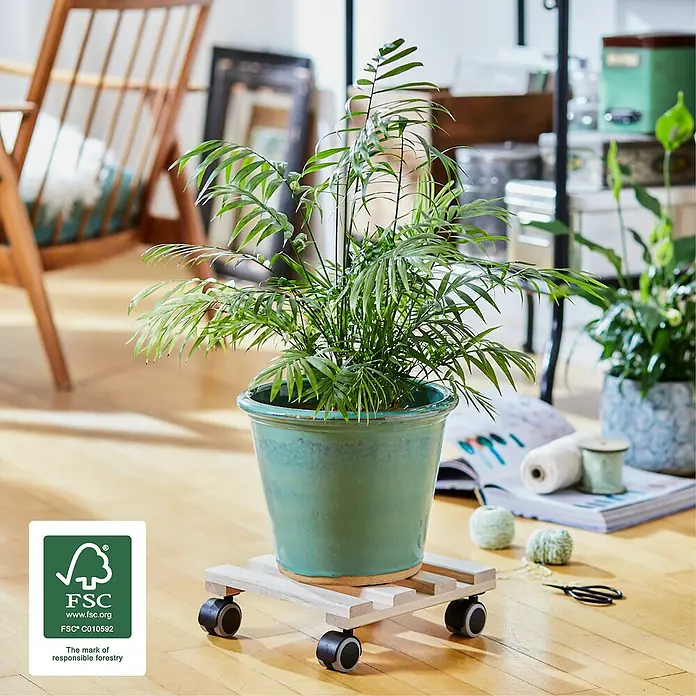 Gardol Soporte con ruedas para plantas Classic Soft - Cuadrado, Haya, Carga máx.: 100 kg - Foto ambiente