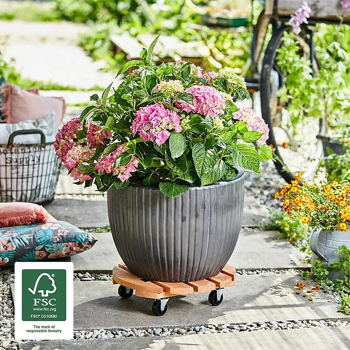 Gardol Pflanzenroller Florenz - Durchmesser: 37,5 cm, Kiefer - Stimmungsaufnahme