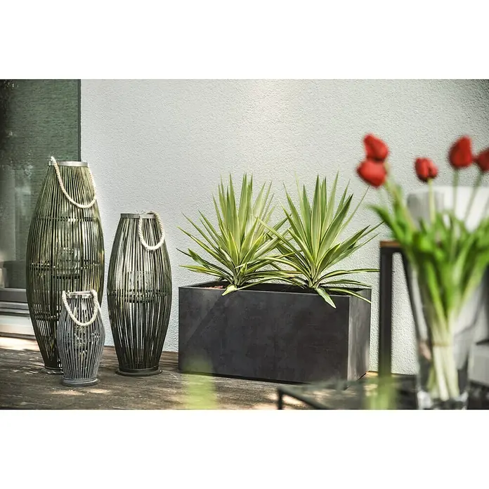 Laterne - L x B x H: 38 x 21 x 40 cm, Anthrazit - Stimmungsaufnahme