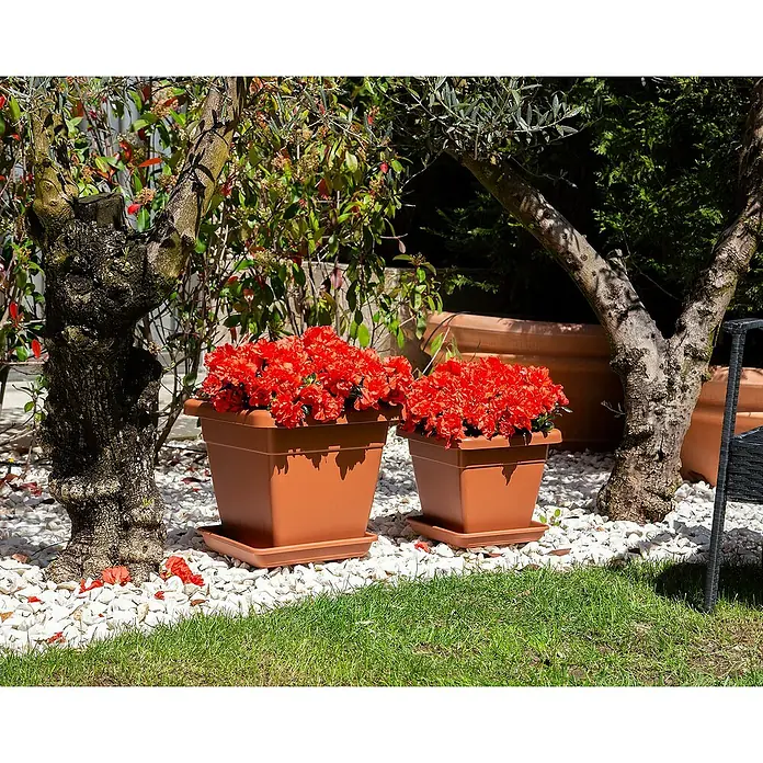 Artevasi Venezia Pflanzkasten - Außenmaß (L x B x H): 30 x 30 x 26 cm, Kunststoff, Terracotta - Stimmungsaufnahme
