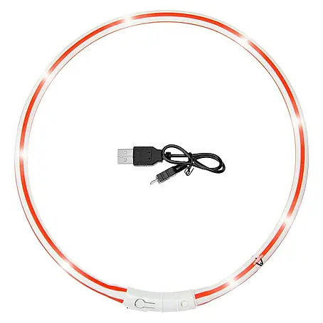 Karlie  Collar para perros Visio Ligth LED Zebra