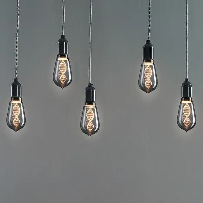 Paulmann Inner Glow LED-Leuchtmittel Helix - E27, 3,5 W, 90 lm, Tropfen, Rauchglas - Bildausschnitt