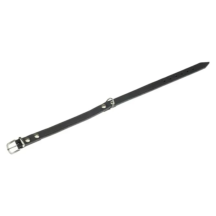 Karlie Collar para perros Rondo - 57 x 2 cm - Vista angular