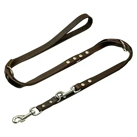 Correa para perros Rondo
