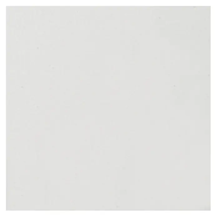Placo Saint-Gobain Placa para techo Decogips Apolo A - L x An: 0,6 x 0,6 m, Blanco, Contenido: 8 uds., Yeso - Vista frontal