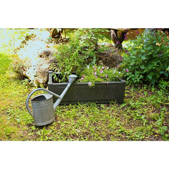 KHW Pflanzkasten - Außenmaß (L x B x H): 100 x 43 x 41 cm, Kunststoff, Anthrazit - Stimmungsaufnahme