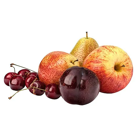 Obstbaum