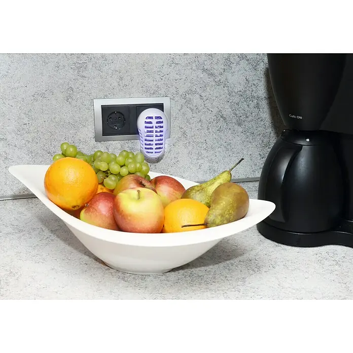 Gardigo Obstfliegen-Falle - Vernichter - B x H: 6 x 8 cm - Anwendungsbeispiel