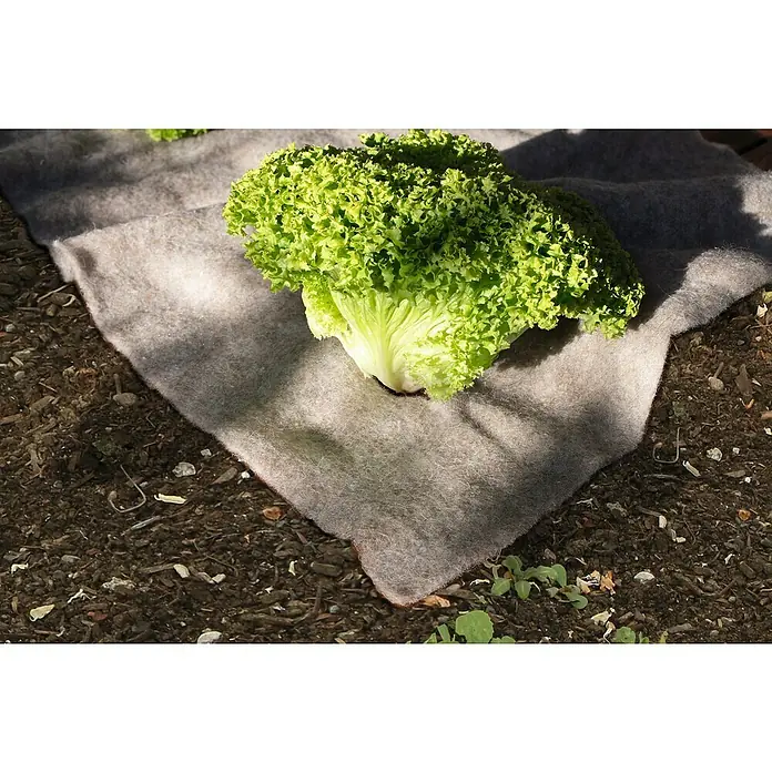 Gardigo Schnecken-Stopp Vlies - L x B x H: 23 x 15 x 15 cm - Anwendungsbeispiel
