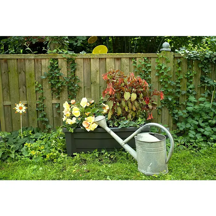 KHW Pflanzkasten Calypso - Außenmaß (L x B x H): 79 x 35 x 33 cm, Kunststoff, Anthrazit, Ohne Rankgitter - Stimmungsaufnahme