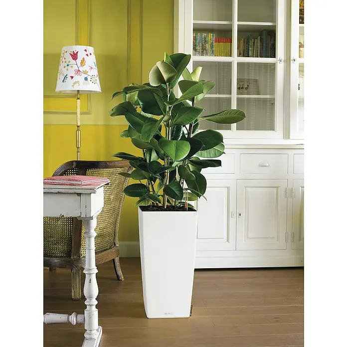 Lechuza Color Pflanzsäule eckig Cubico - Außenmaß (L x B x H): 30 x 30 x 56 cm, Kunststoff, Weiß - Stimmungsaufnahme