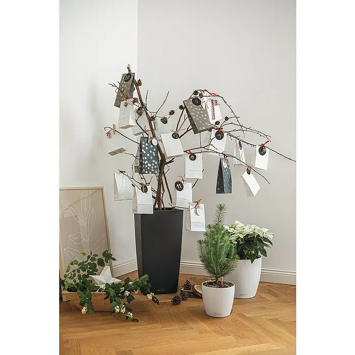 Lechuza Color Pflanzsäule eckig Cubico - Außenmaß (L x B x H): 40 x 40 x 75 cm, Kunststoff, Schiefergrau - Stimmungsaufnahme