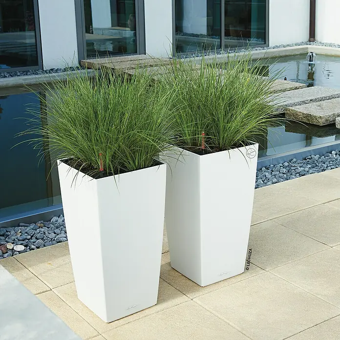 Lechuza Color Pflanzsäule eckig Cubico - Außenmaß (L x B x H): 30 x 30 x 56 cm, Kunststoff, Weiß - Stimmungsaufnahme