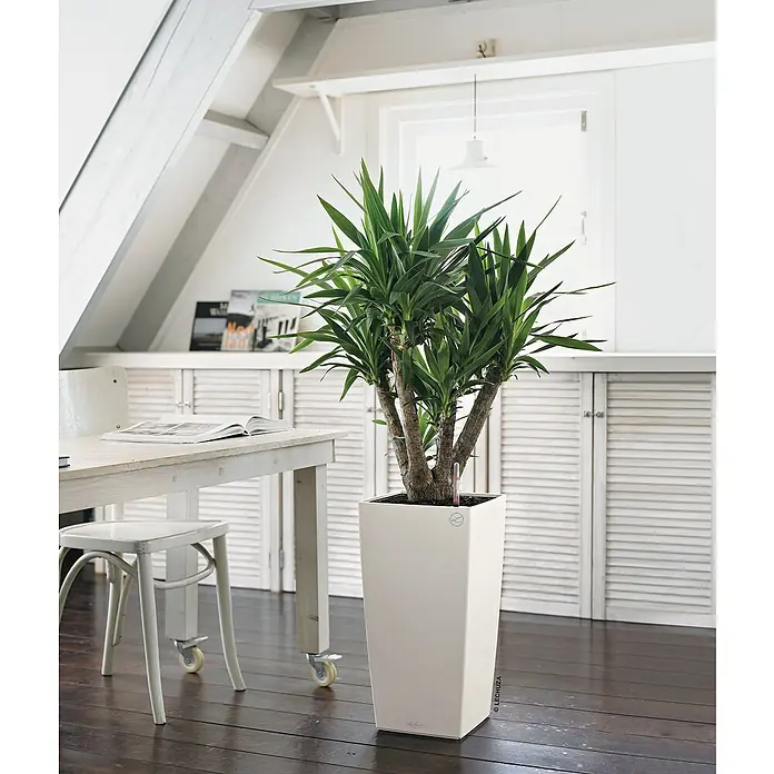 Lechuza Color Pflanzsäule eckig Cubico - Außenmaß (L x B x H): 30 x 30 x 56 cm, Kunststoff, Weiß - Stimmungsaufnahme