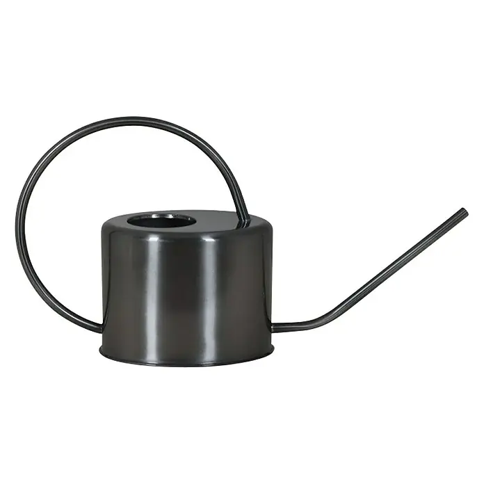 Gießkanne - Edelstahl, Oval, 1 l, Grau - Rechte Seitenansicht