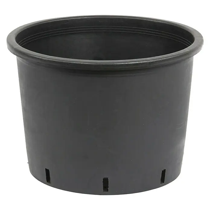 Floraworld Comfort Pflanzencontainer - 45 l, Kunststoff, Schwarz - Vorderansicht