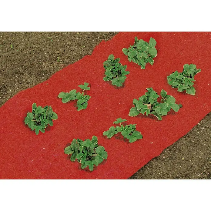 Floraworld Classic Jutevliesmatte - Rot, Länge: 150 cm - Anwendungsbeispiel