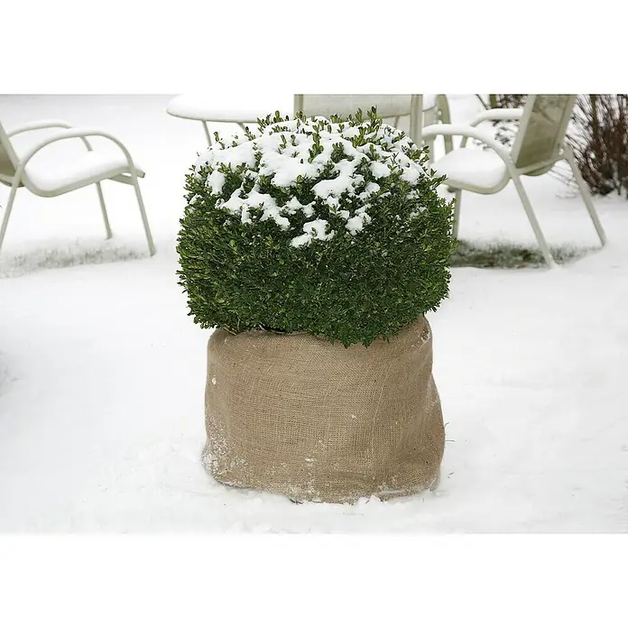 Floraworld Classic Jute-Gewebematte - Natur, 500 cm - Stimmungsaufnahme