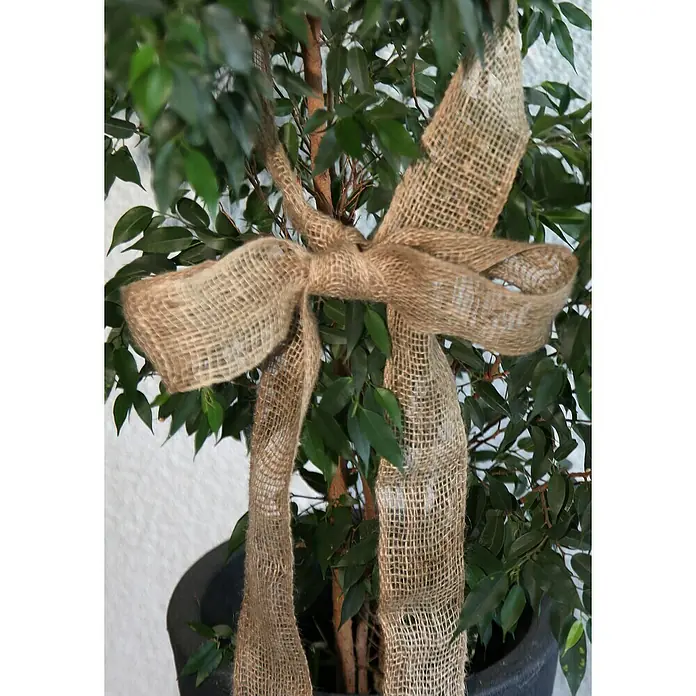 Floraworld Classic Jutegewebeband - Natur, 300 x 6 cm - Detailaufnahme