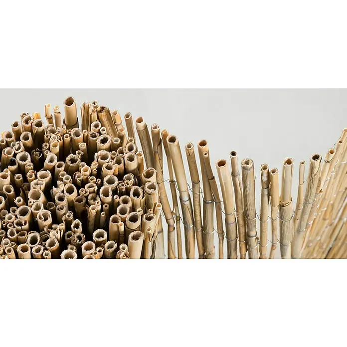 Gardol Schilfrohrmatte - 600 x 100 cm, Geeignet für: Sicht- und Windschutz - Detailaufnahme