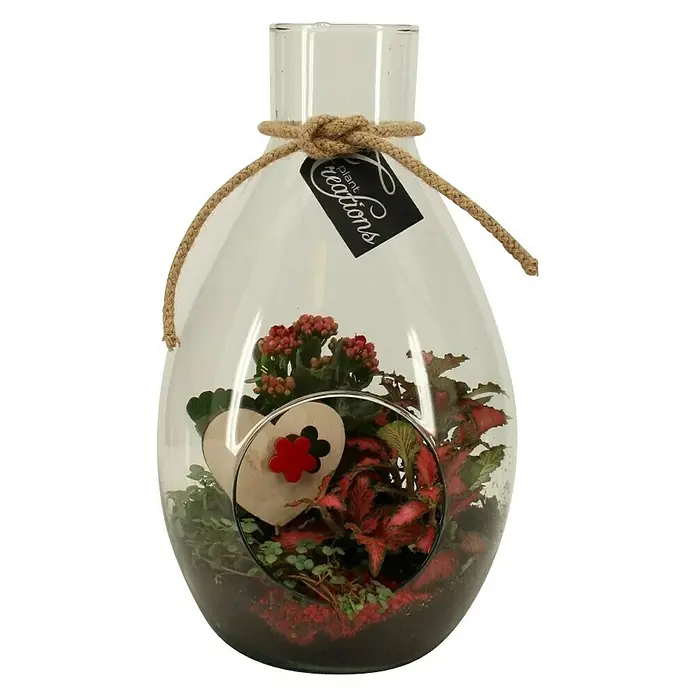 Piardino Jarrón con plantas - 17 cm - Vista frontal