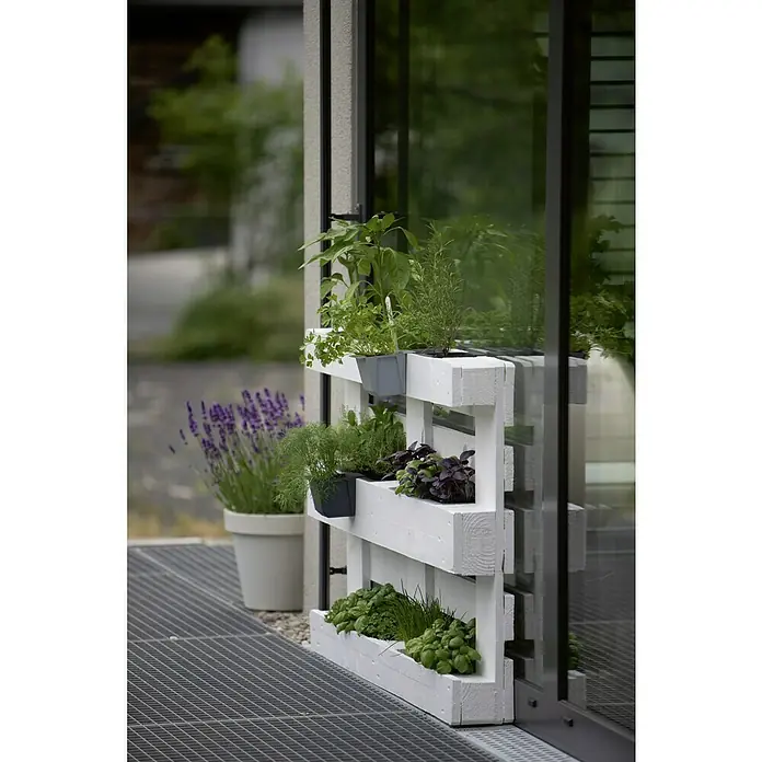Geli Umetak za kutiju za biljke Easy - Vanjska dimenzija (D x Š x V): 10 x 10 x 10 cm, Plastika, Betonski sive boje - Proizvod u upotrebi