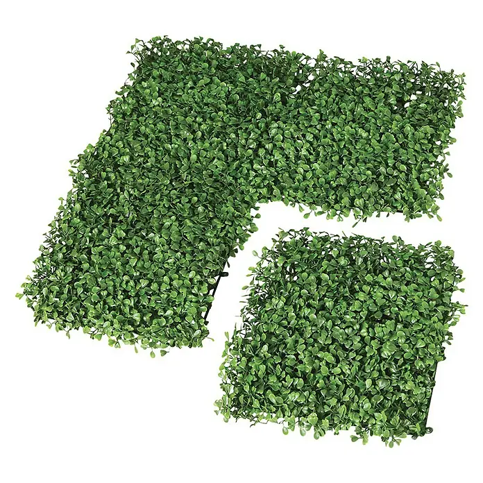 Vertikaler Garten Boxwood - L x B: 25 x 25 cm, Grün - Diagonale Ansicht