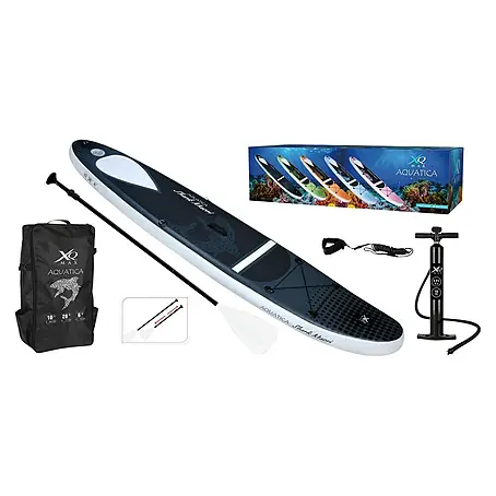 Paddle surf Shark