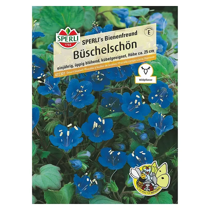 Sperli Gründüngung Büschelschön - Phacelia campanularia, Saatgut ausreichend für: 30 m² - Vorderansicht