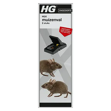 HG X Muizenval