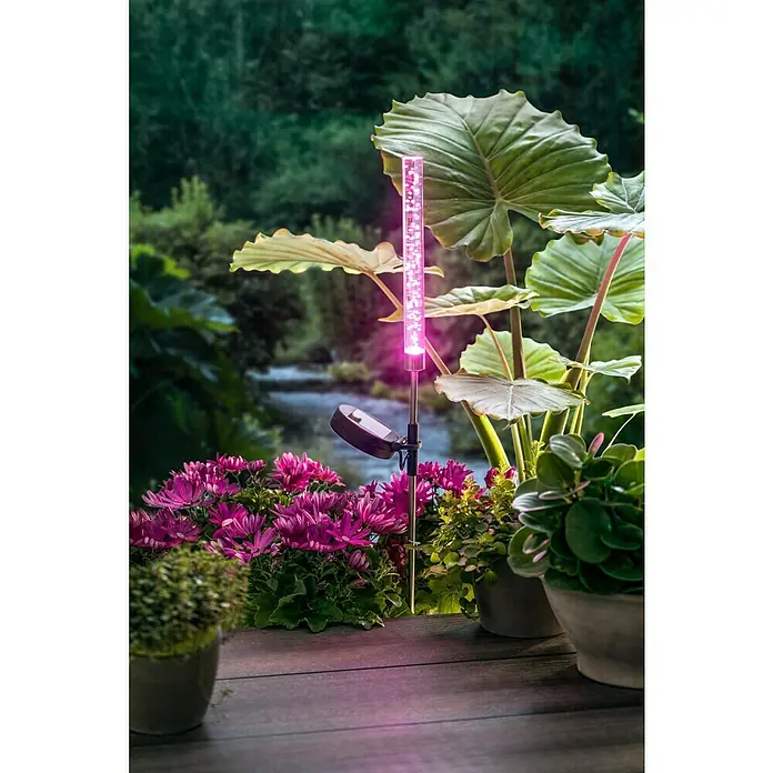 BAUHAUS Solarna svjetiljka - LED, 0,06 W, RGB upravljanje bojom - Živopisni prikaz