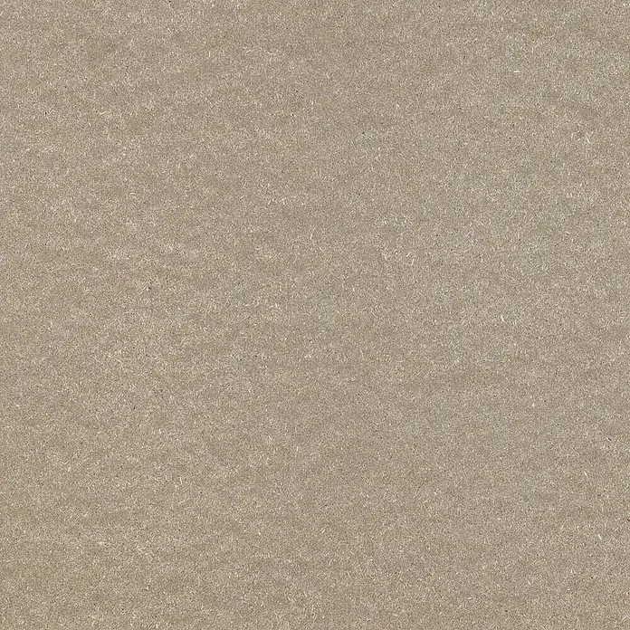 Tablero de aglomerado - 244 cm x 122 cm x 10 mm - Primer plano