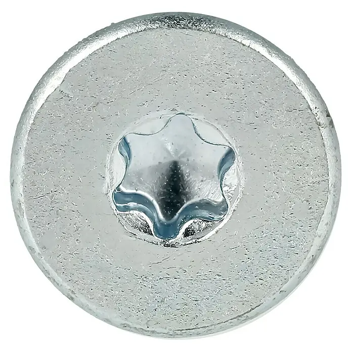 Profi Depot Tornillo de ajuste VZ - Diámetro: 6 mm, Largo: 100 mm, TX para accionamientos TORX, 100 uds. - Primer plano