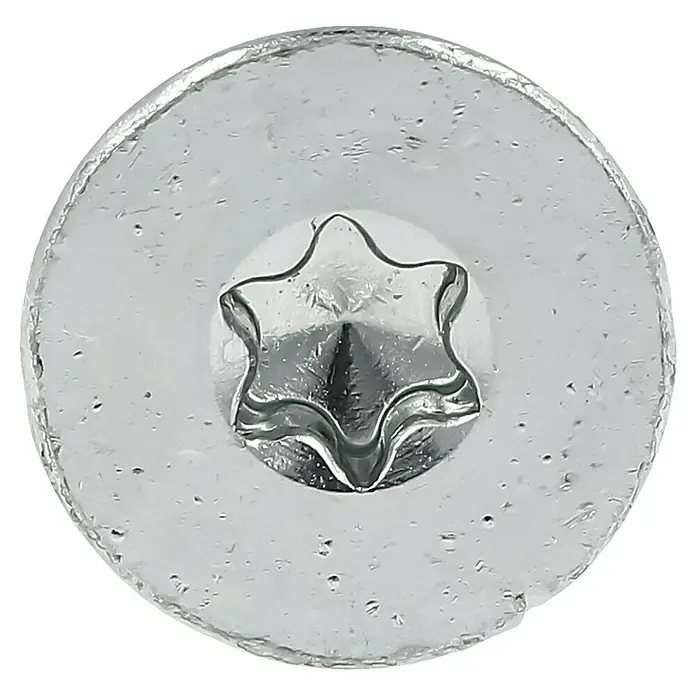 Profi Depot Spanplattenschraube VZ - Ø x L: 6 x 160 mm, 50 Stk., Verzinkt - Detailaufnahme