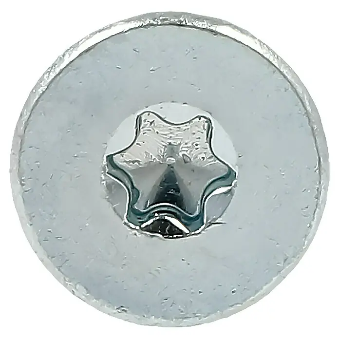 Profi Depot Tornillo de ajuste VZ - Diámetro: 6 mm, Largo: 120 mm, TX para accionamientos TORX, 100 uds. - Primer plano