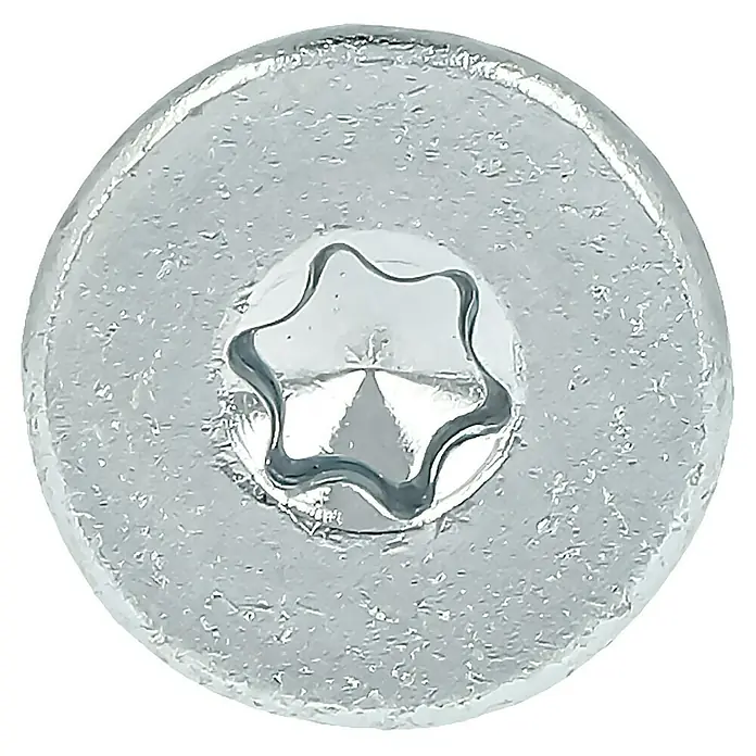 Profi Depot Tornillo de ajuste VZ - Diámetro: 6 mm, Largo: 60 mm, TX para accionamientos TORX, 100 uds. - Primer plano