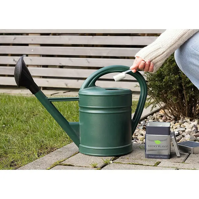Lucky Plant Pflanzenstärkungsmittel - 400 g - Anwendungsbeispiel