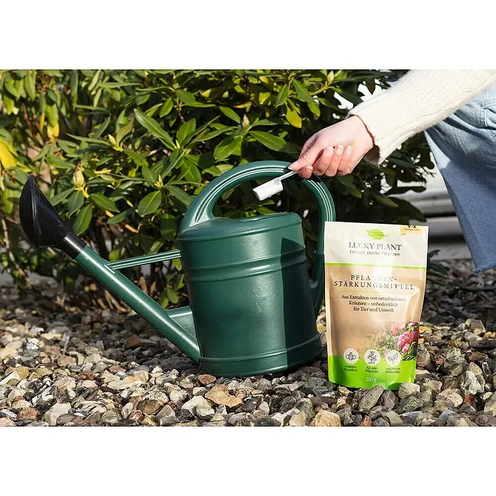 Lucky Plant Pflanzenstärkungsmittel - 200 g - Anwendungsbeispiel