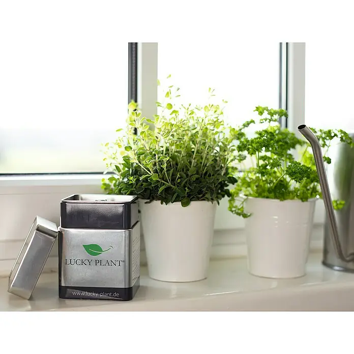Lucky Plant Pflanzenstärkungsmittel - 400 g - Stimmungsaufnahme