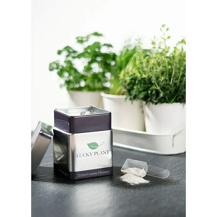 Lucky Plant Pflanzenstärkungsmittel - 400 g - Stimmungsaufnahme