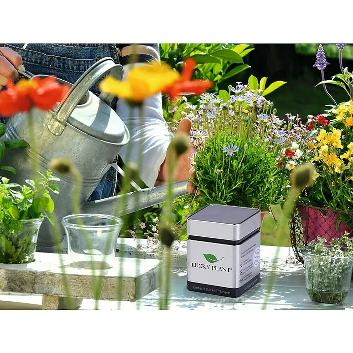 Lucky Plant Pflanzenstärkungsmittel - 400 g - Stimmungsaufnahme