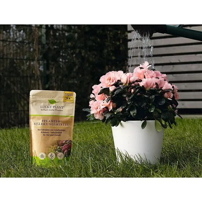 Lucky Plant Pflanzenstärkungsmittel - 200 g - Stimmungsaufnahme