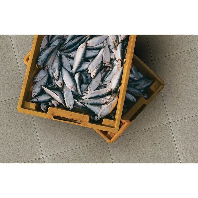 Feinsteinzeugfliese Acapulco - 30 x 30 cm, Grau, Matt - Stimmungsaufnahme