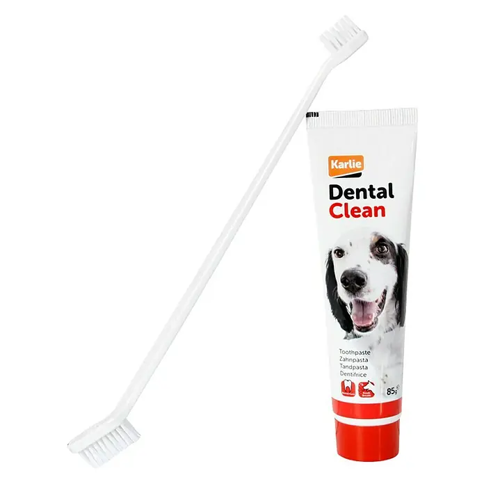Cepillo de dientes - Apto para: Perros, Plástico, 1 ud. - Vista frontal