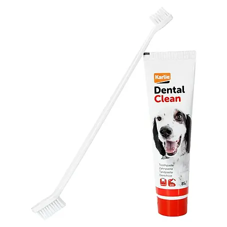 Cepillo de dientes