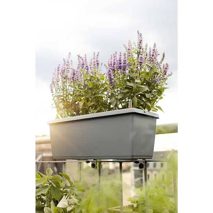Poétic Pflanzkasten My City Garden - Außenmaß (L x B x H): 50 x 20 x 18 cm, Kunststoff, Staubgrau - Stimmungsaufnahme