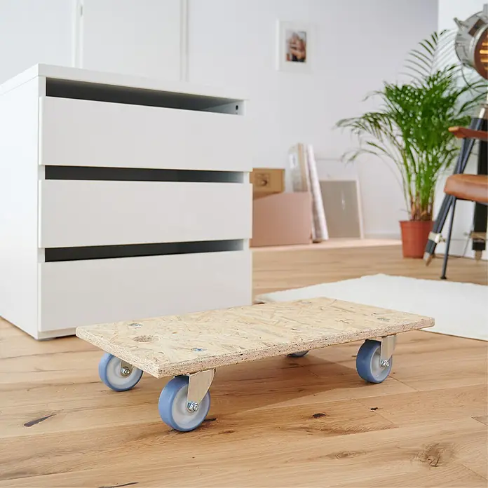 Wagner System Transportroller MM 1173 - L x B x H: 300 x 575 x 110 mm, Traglast: 250 kg - Stimmungsaufnahme