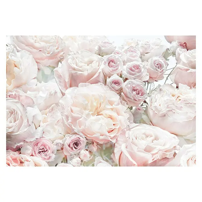 Komar Fototapete Spring Roses - 8 -tlg., B x H: 368 x 254 cm, Papier - Vorderansicht